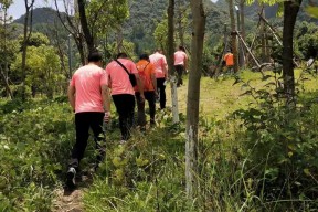 金州勇士发布备战花絮；今晚临场应变；葡超任务艰巨；心理建设被强调(shoesjob社区讨论)-星空体育app